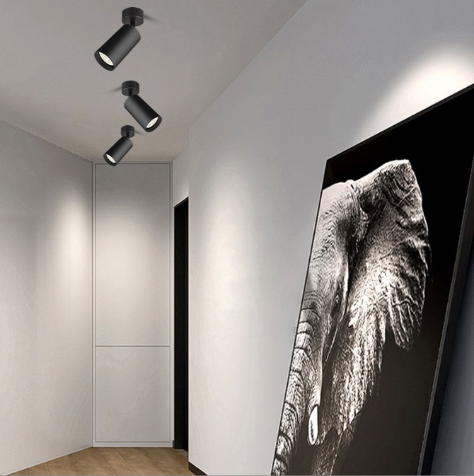 Светильник SPF-4448 ЧЕРНЫЙ D55/H165/1/GU10/50W без лампы 24-12 (1/50)