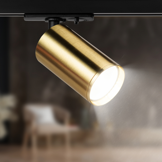 Светильник TR39-GU10 BS ЭРА Трековый однофазный, MR16 латунь под лампу